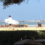 Photo taken by Cynthia T