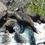 Photo taken by Steven M