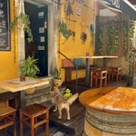 Photo taken by Kassie R