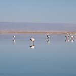 Photo taken by Jananee J