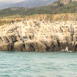 Photo taken by Chuck M