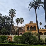 Photo taken by Jason C