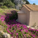 Photo taken by Nisah M