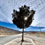 Photo taken by KHEE BOON L