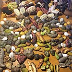 Photo taken by Ayca A