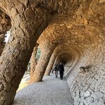 Photo taken by Colin M