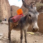 Photo taken by Monika S