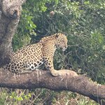 Photo taken by Kakoli K