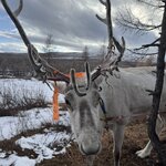 Photo taken by Joseph K