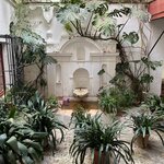 Photo taken by Joey R