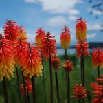 Photo taken by Caroline K