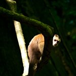 Photo taken by Chaitanya A