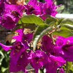 Photo taken by Teresa R