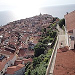 Photo taken by Shree L