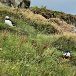 Photo taken by Brian W