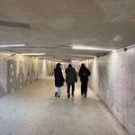 Photo taken by Alison D