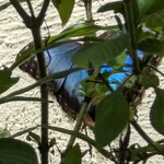 Photo taken by Denise M