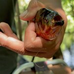 Photo taken by Sathees R