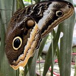 Photo taken by Randy H