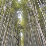 Photo taken by Caz J