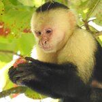 Photo taken by Mary D