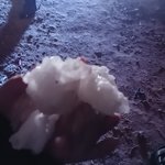 Photo taken by Maria R