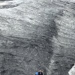 Photo taken by Jaya C