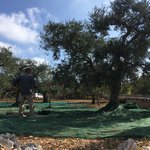 Photo taken by Richard F