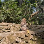 Photo taken by Brittany Leslie Lynn S