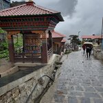 Photo taken by Gavin T