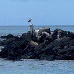 Photo taken by Thomas L