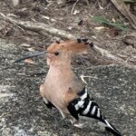 Photo taken by Fuad A