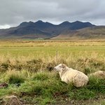 Photo taken by Laurence C