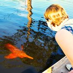 Photo taken by Dennis H