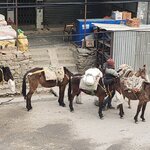 Photo taken by Sin kwan P