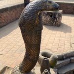 Photo taken by Wayne D