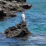 Photo taken by Stephanie A