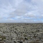 Photo taken by Sue M