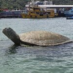 Photo taken by Audrea H