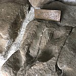 Photo taken by John David W