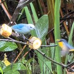 Photo taken by Ben B