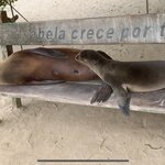 Photo taken by Stephanie A