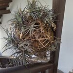 Photo taken by Jenny P