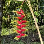 Photo taken by Randy H