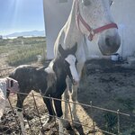 Photo taken by Amy I