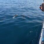 Photo taken by Martin L