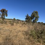 Photo taken by Ingenie D