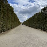 Photo taken by Tyler M