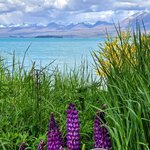 Photo taken by Rand M