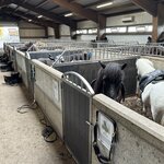 Photo taken by Anna A